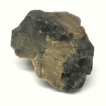 Opalisiertes Versteinertes Holz